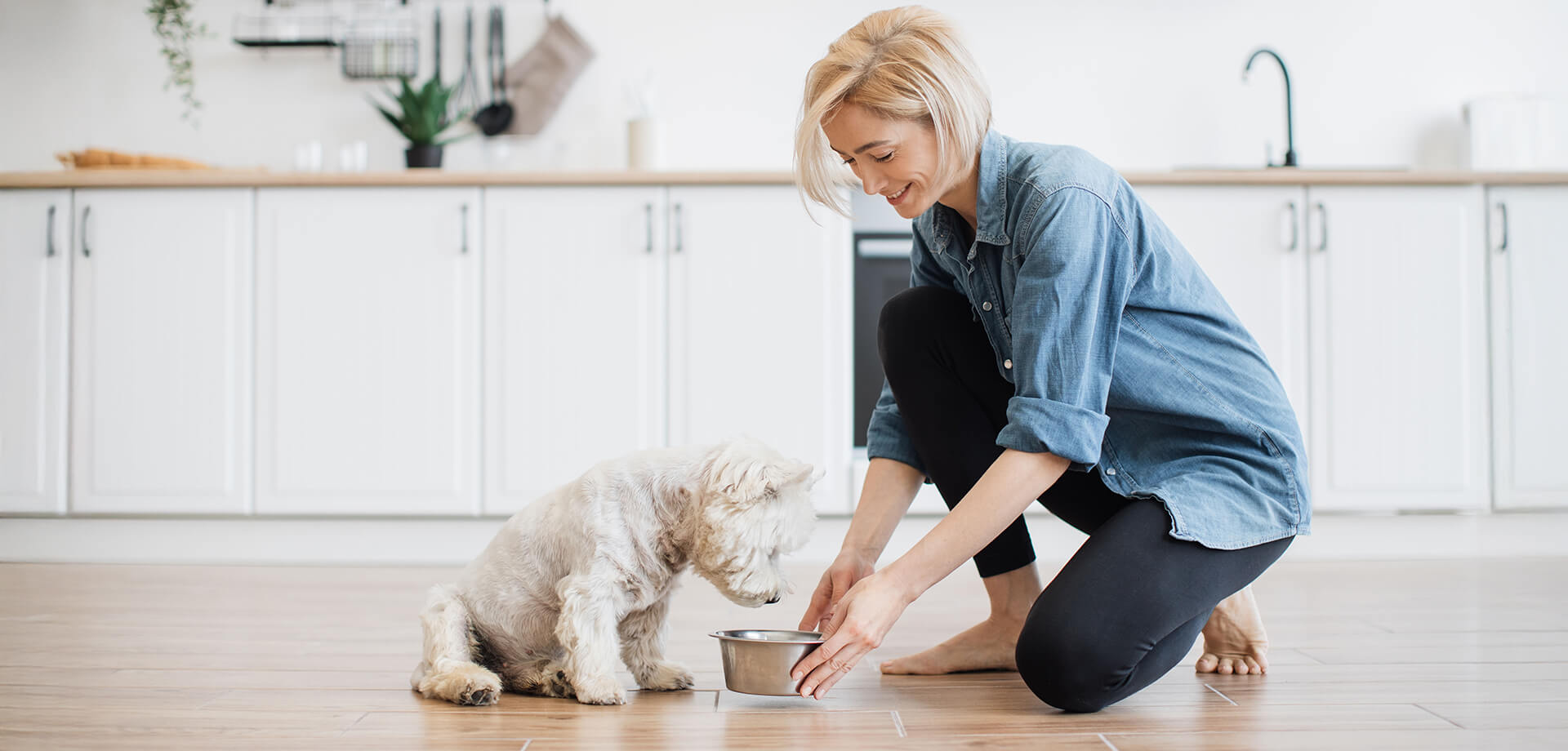 Hundefreundliche Fütterung