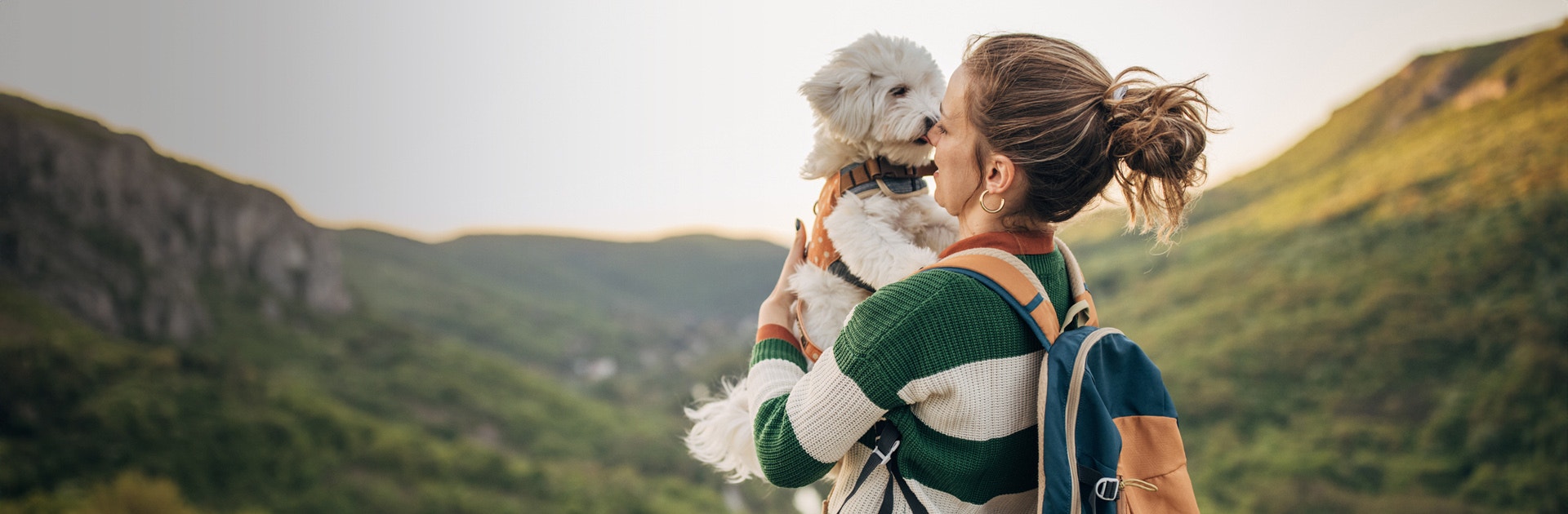 Eine hundefreundliche Welt