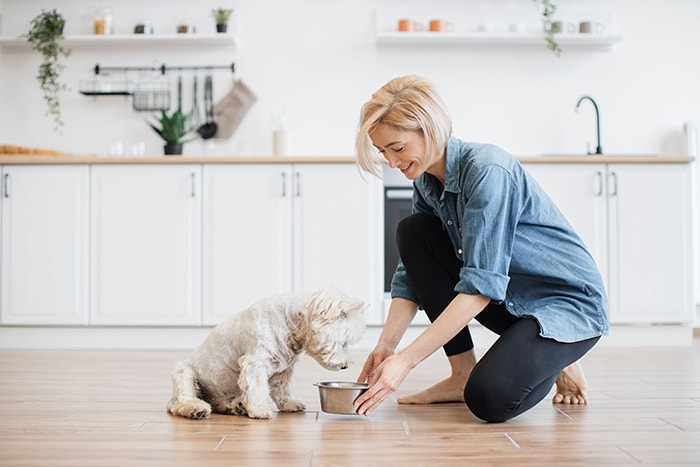 Hundefreundliche Fütterung