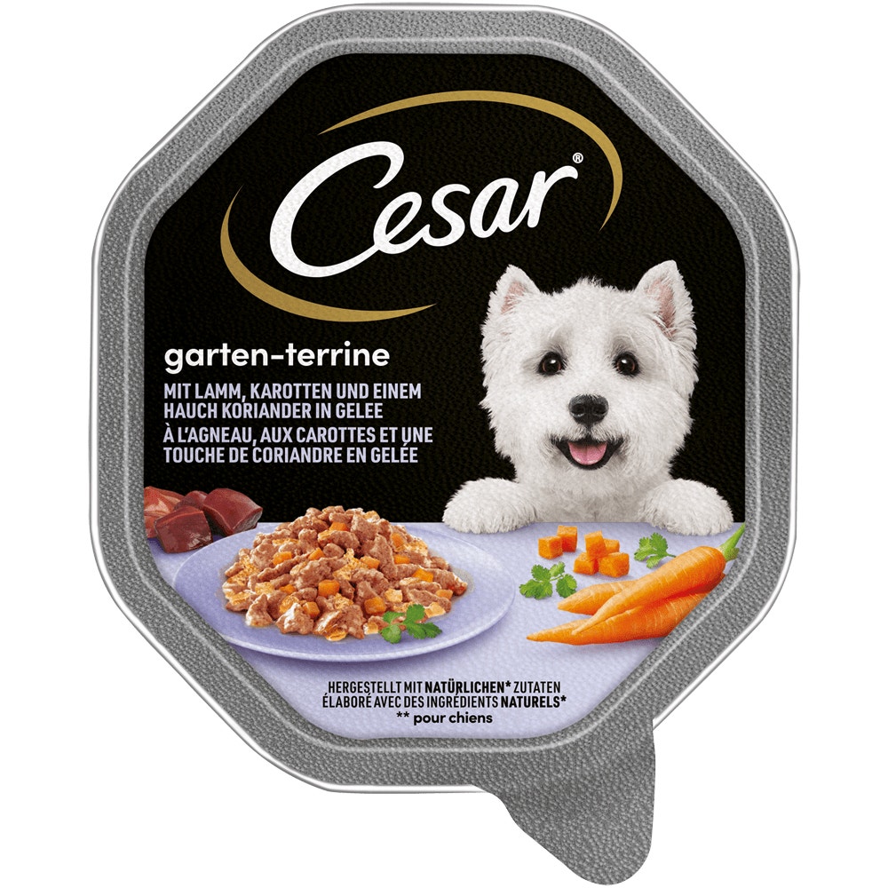 CESAR® Garten-Terrine in Gelee mit Lamm, Karotten & Koriander, 150g - 1