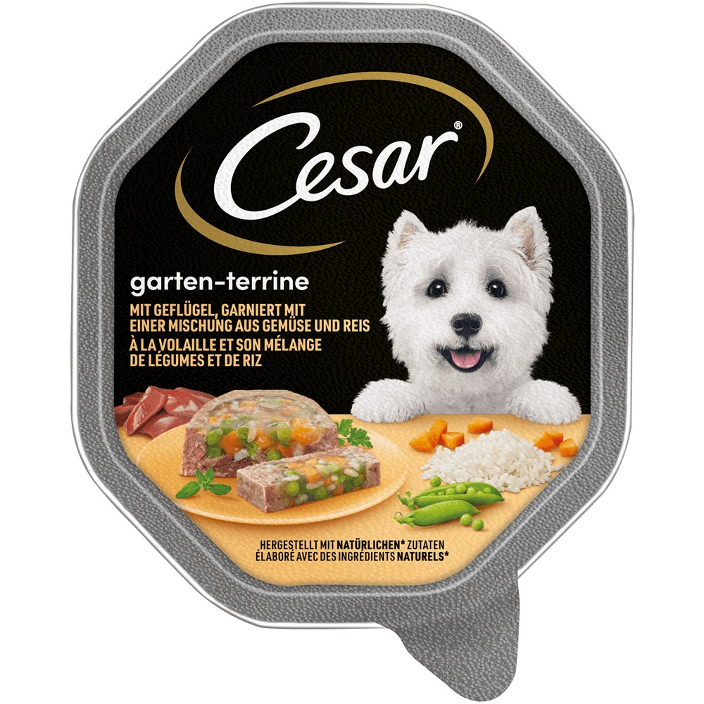CESAR® Garten-Terrine mit Geflügel, Gemüse & Reis, 150g - 1