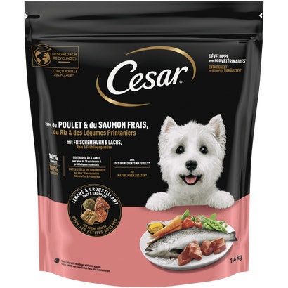Huhn & Lachs, Trockenfutter für kleine Hunde